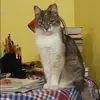 Отзыв от Нина Савина